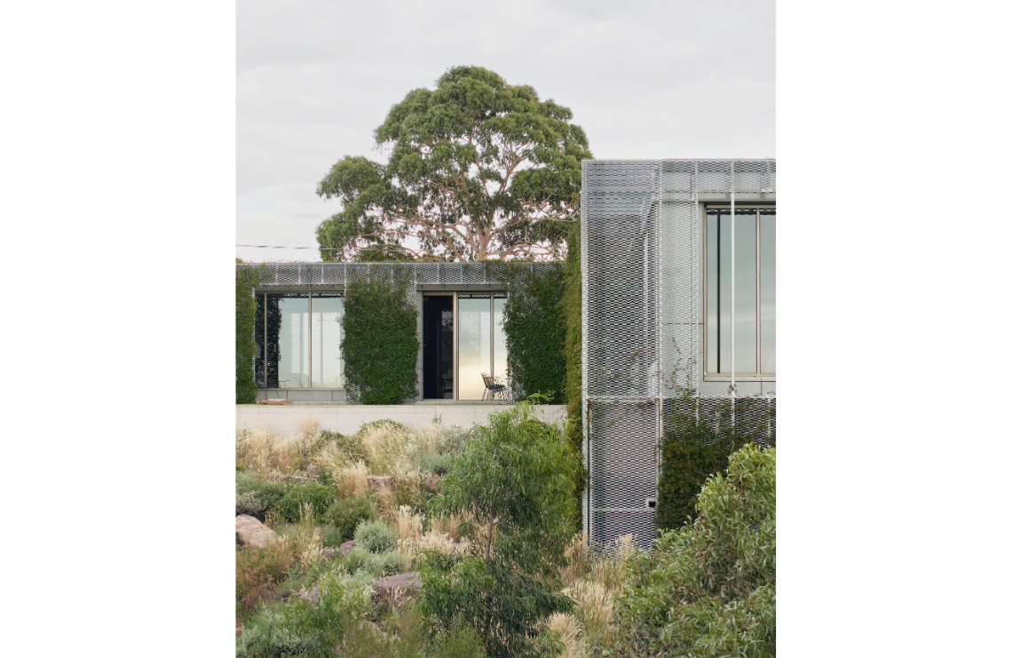 Hedge and Arbour House